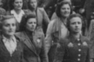 Newsletter 4 novembre